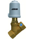 Pneumatically operated seat valve SE03-114-RT1251